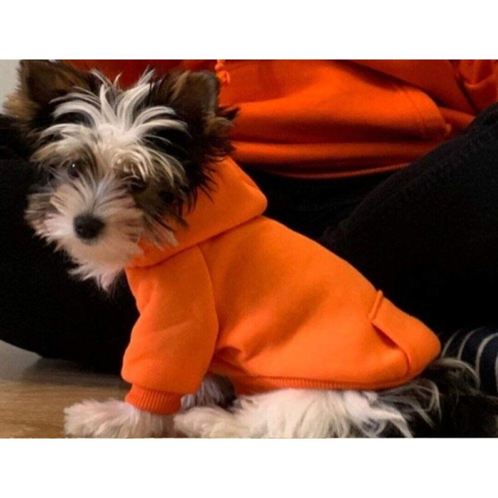 Dog hoodie - XS. Pull-over Orange hoodie with pocket. Lotus & Ladybug